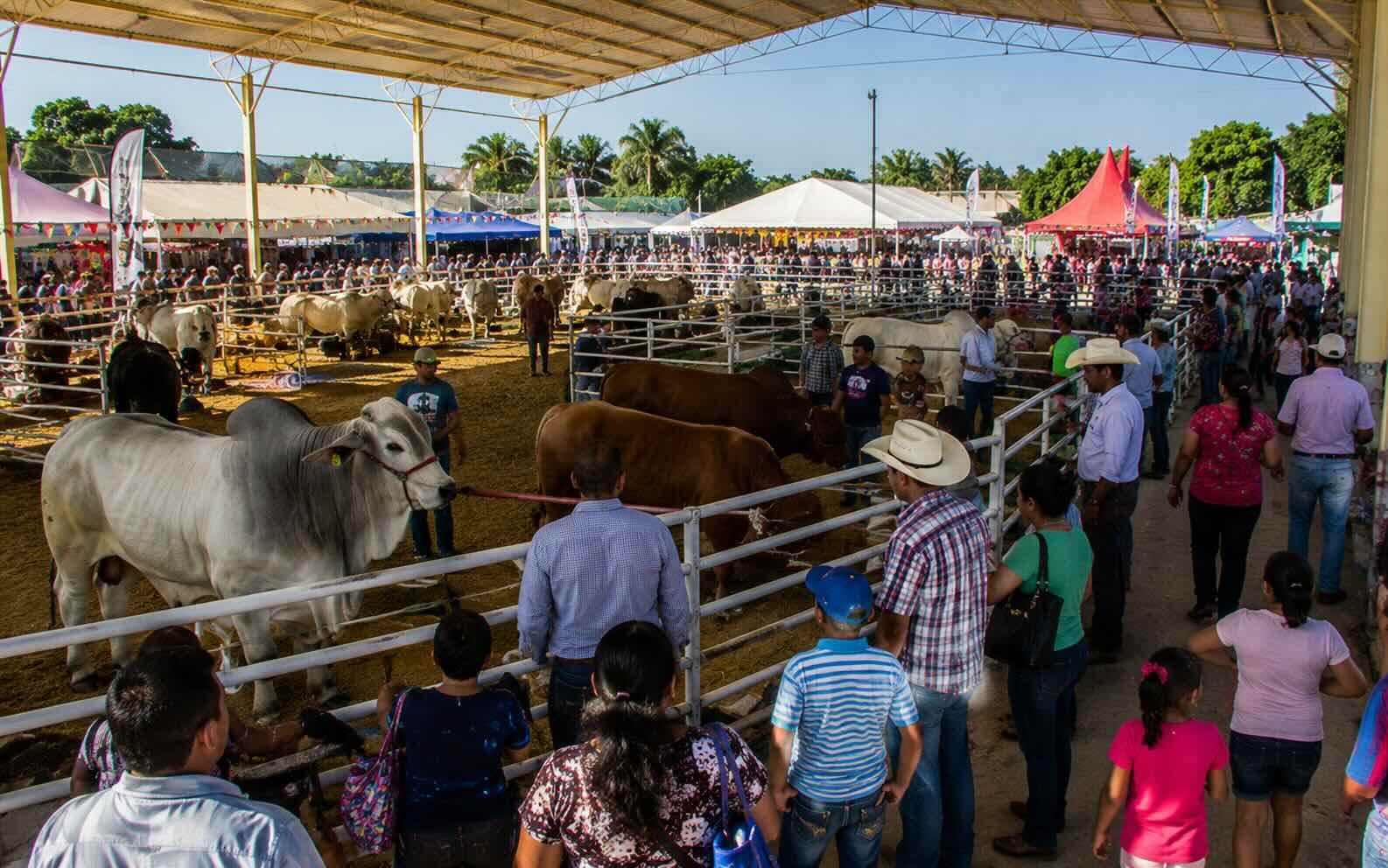 Expo Feria San Pedro y San Pablo in Veracruz, Mexico
